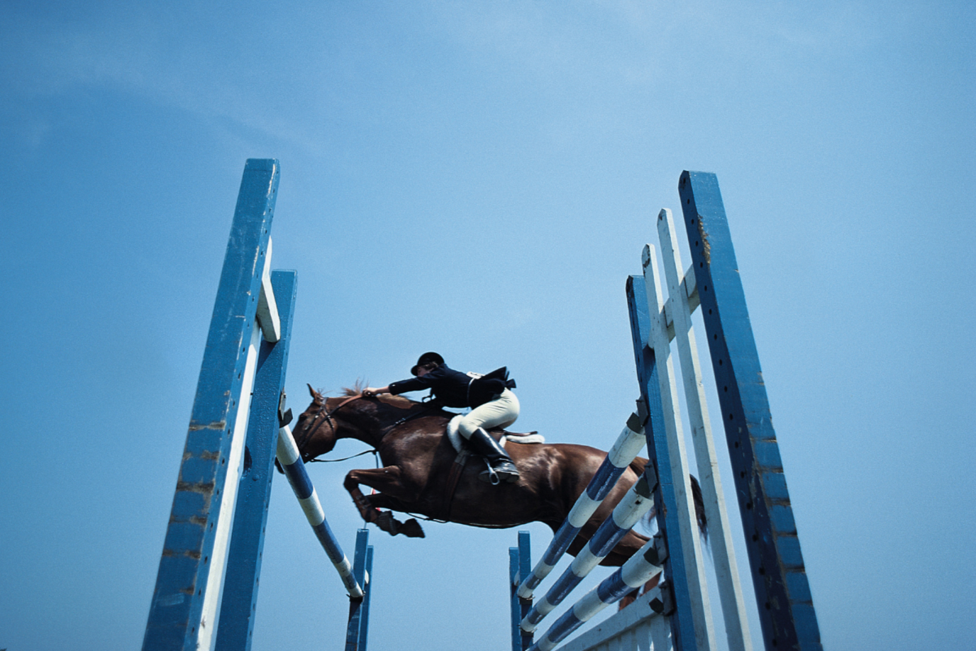 Springreiterin springt mit ihrem Pferd über eine Hürde