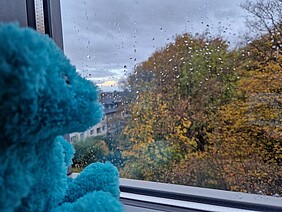 Das GVV Bärchen schaut traurig aus dem Fenster und betrachtet das schlechte Wetter. 
