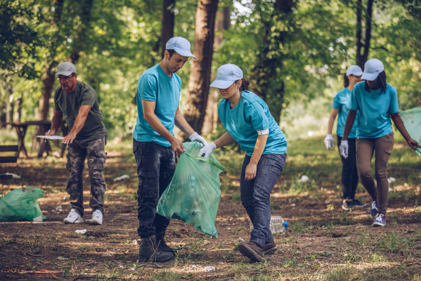 Mehrere Menschen, die ehrenamtlich im Wald Müll sammeln