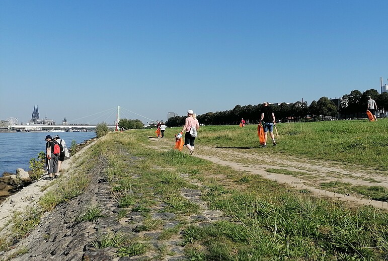 GVV-Mitarbeitende sammeln Müll am Rhein in Köln; der Dom ist im Hintergrund