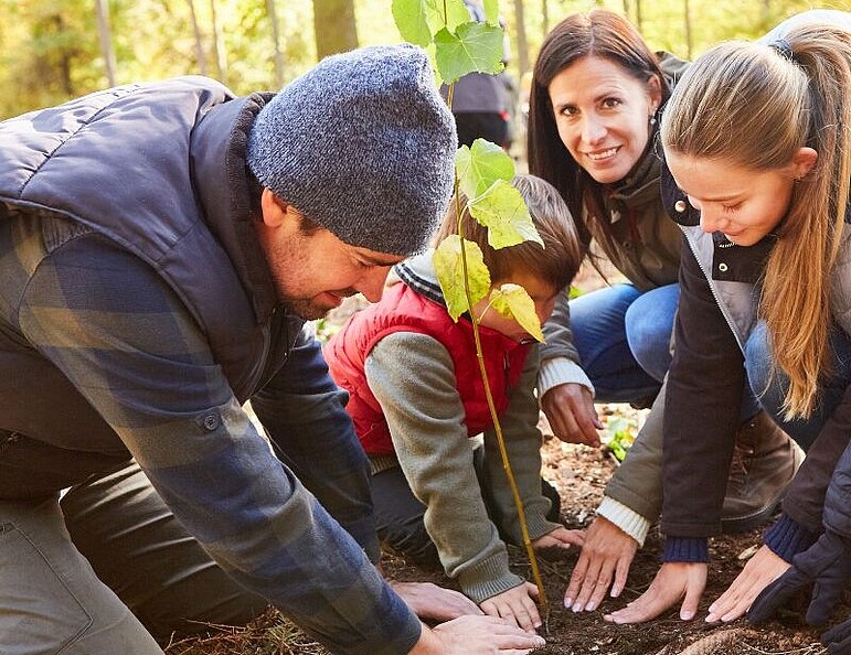 Mehrere Personen pflanzen einen Baum im Wald