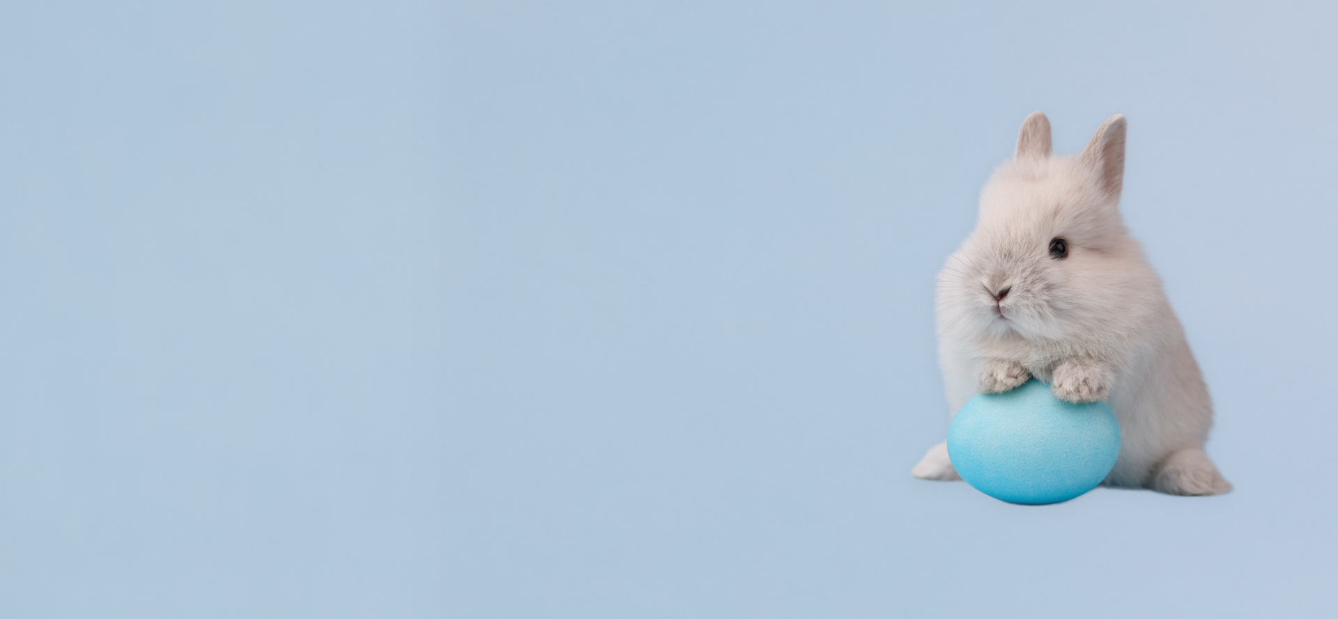 Junger Hase, der ein Osterei mit den Vorderpfoten festhält