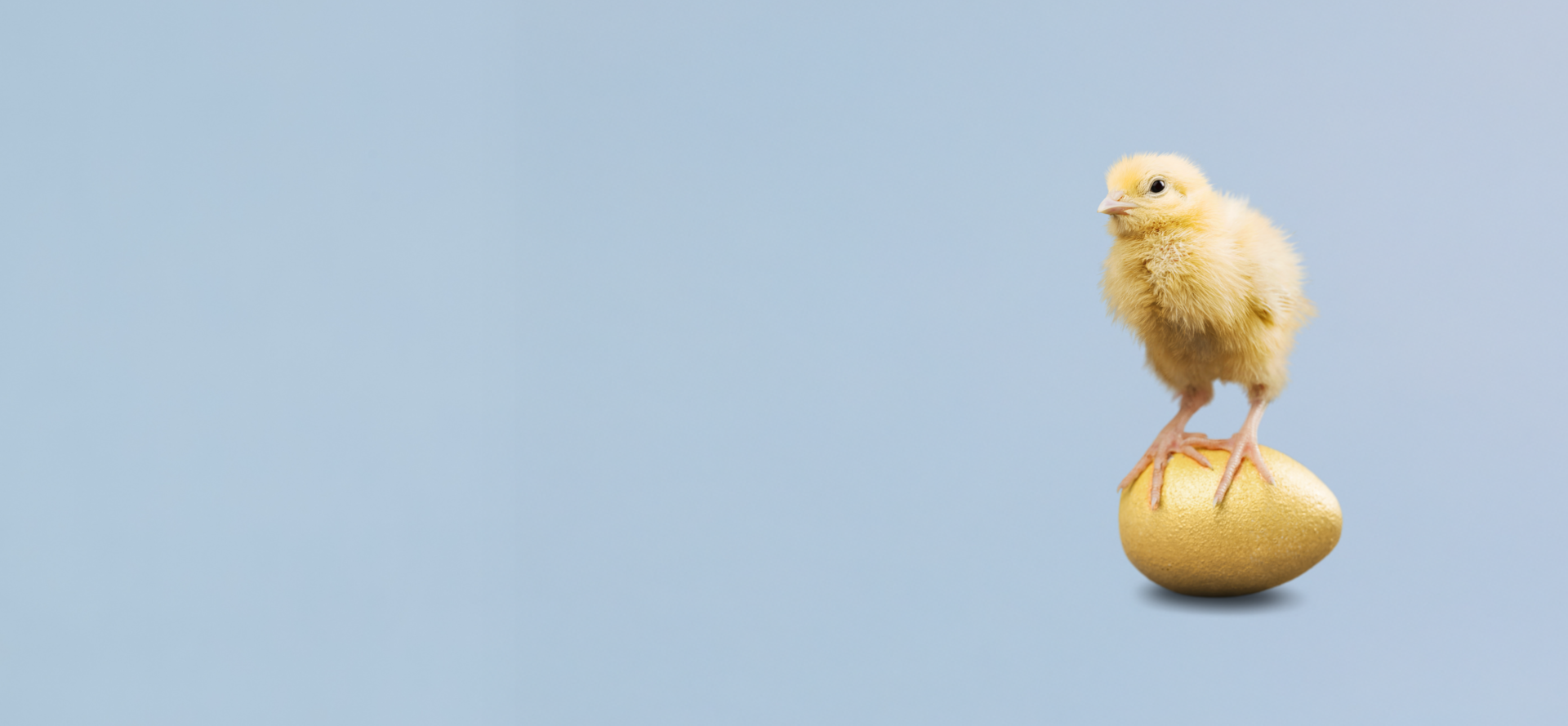 Küken, das auf einem Osterei steht