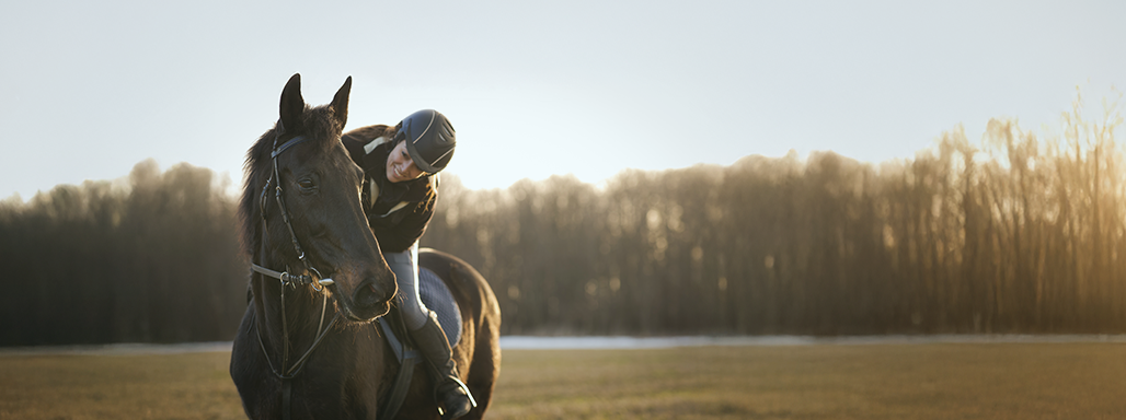 Eine junge Frau sitzt auf ihrem Pferd und schaut es glücklich an. Im Hintergrund ist ein Waldstück.