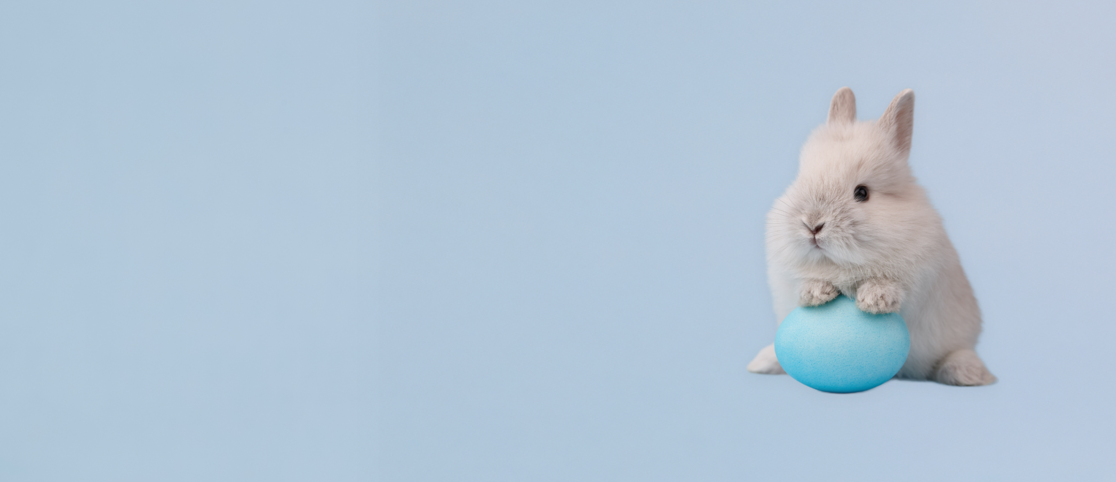 Junger Hase, der ein Osterei mit den Vorderpfoten festhält