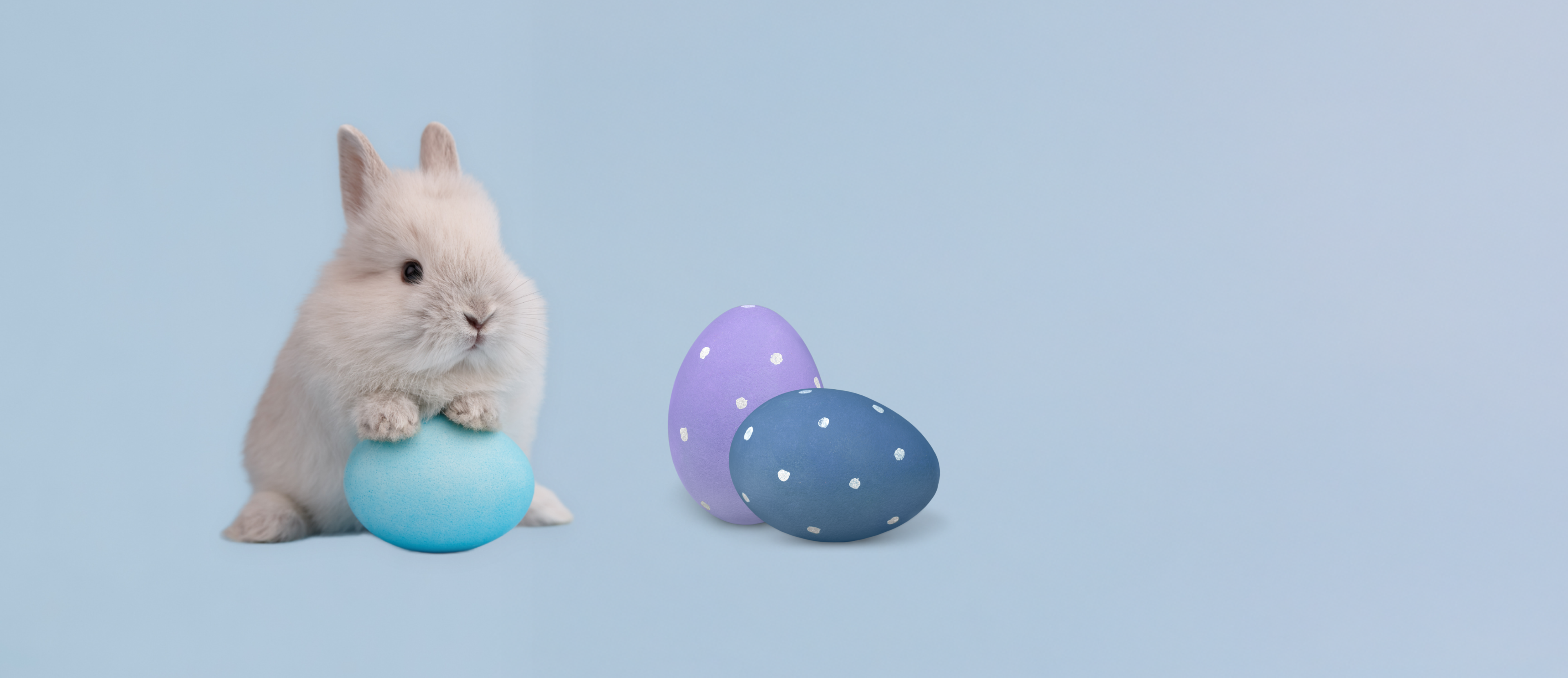 Osterbanner mit einem Baby-Hasen und drei Ostereiern